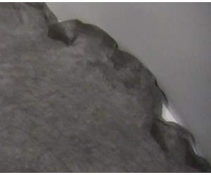 Step 7 image