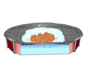 Step 3 image