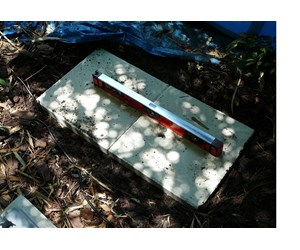 Step 9 image