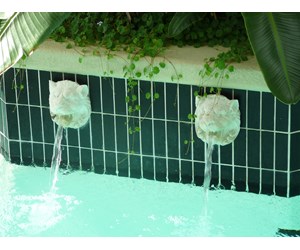 Step 11 image