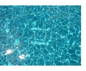 Step 6 image
