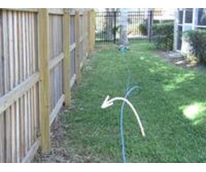 Step 7 image