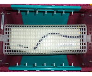Step 2 image