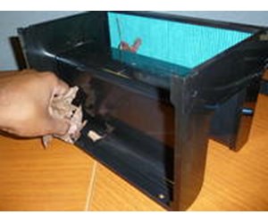 Step 5 image
