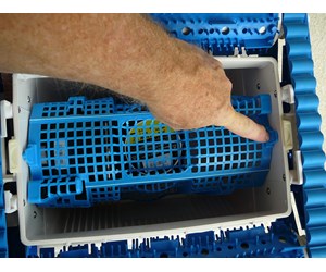 Step 20 image