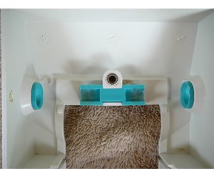 Step 16 image
