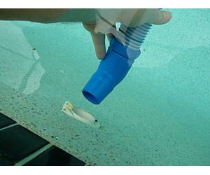 Step 10 image