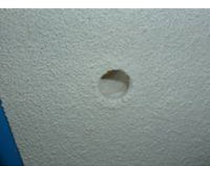 Step 8 image