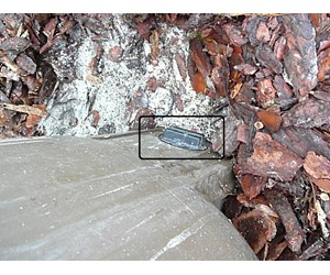 Step 28 image