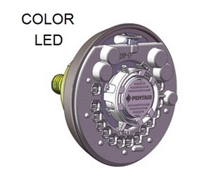 Step 10 image