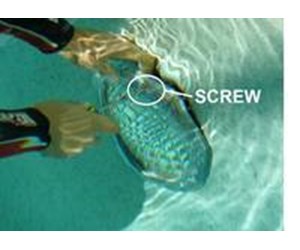 Step 7 image