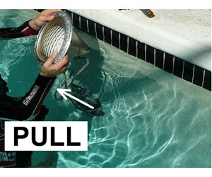 Step 7 image