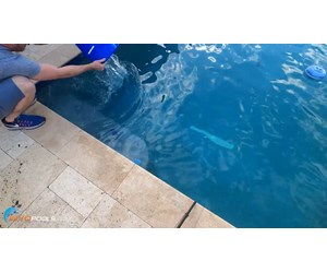 Step 5 image