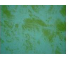 Step 2 image