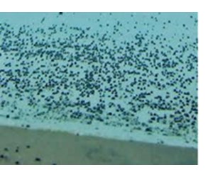 Step 3 image
