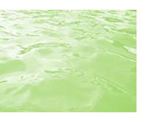 Step 4 image