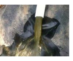 Step 4 image