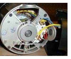 Step 9 image