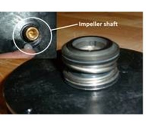 Step 19 image