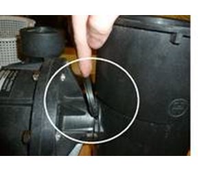 Step 24 image