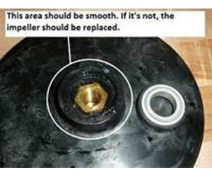 Step 12 image