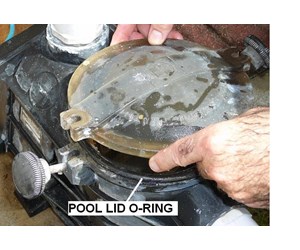 Step 7 image