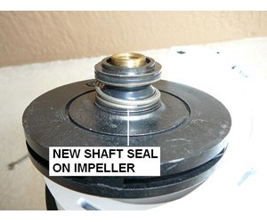 Step 20 image