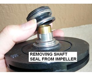 Step 19 image