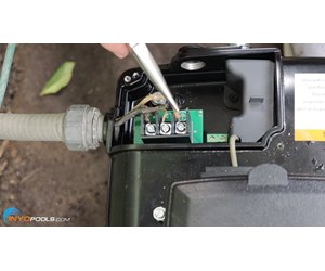 Step 40 image