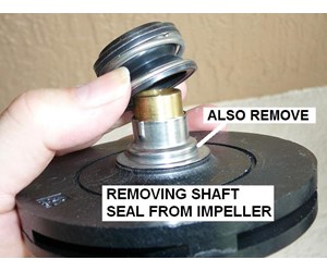 Step 31 image