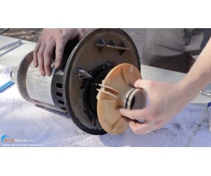 Step 10 image