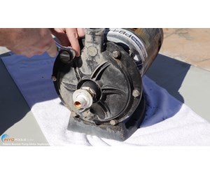 Step 9 image