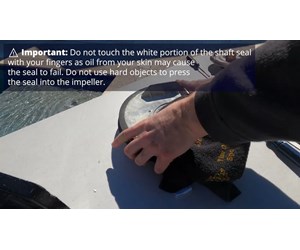 Step 11 image