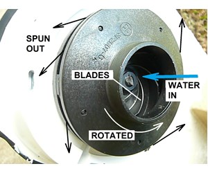 Step 1 image