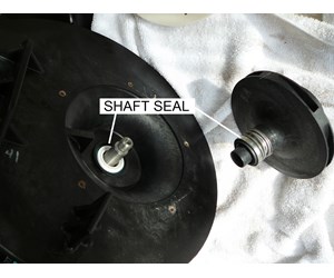 Step 19 image
