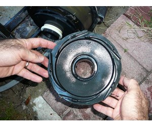 Step 9 image