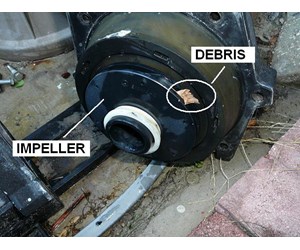 Step 10 image