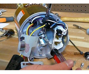 Step 16 image
