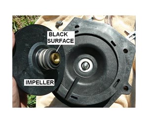 Step 25 image