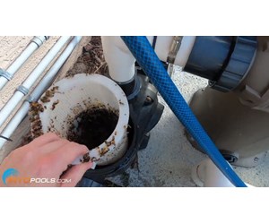 Step 5 image