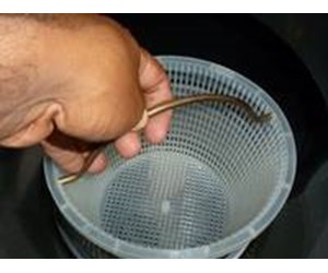 Step 9 image