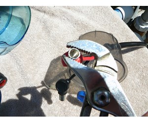 Step 11 image