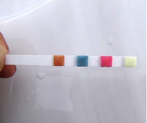 Step 2 image