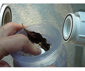Step 3 image