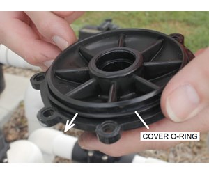 Step 12 image